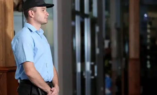 Mangeshi Dombivli Security