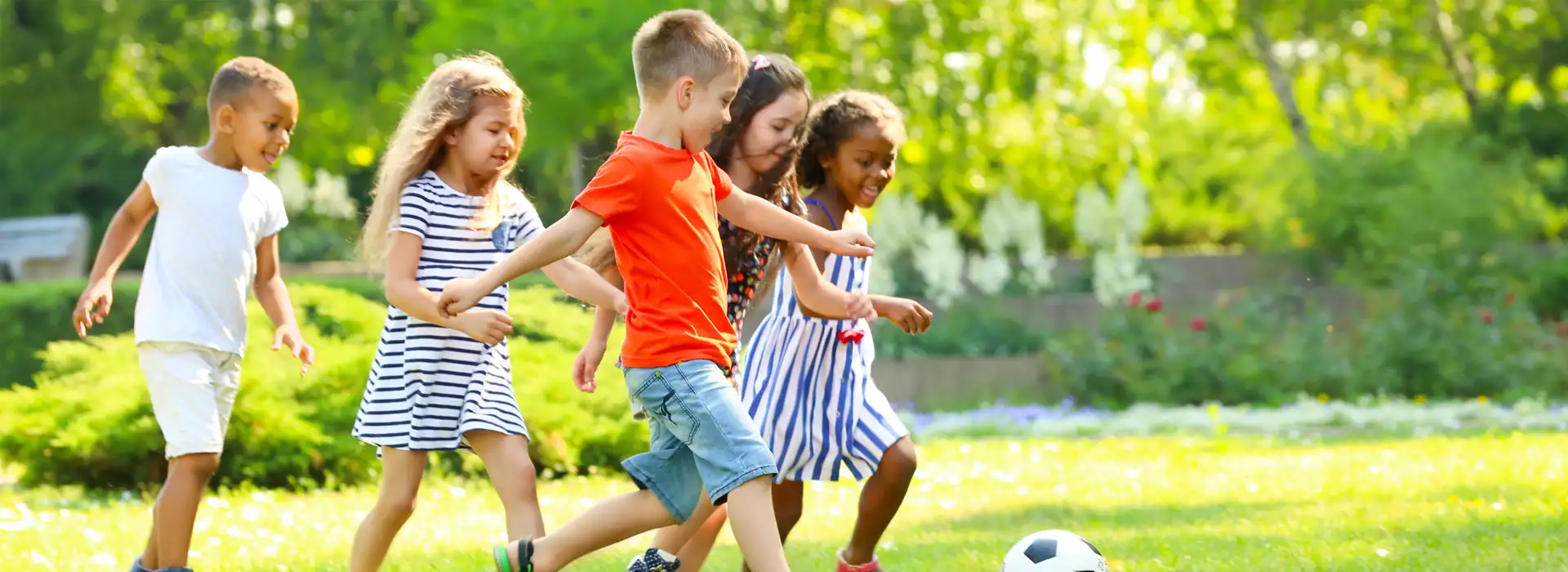 Mangeshi Dazzle Banner 2